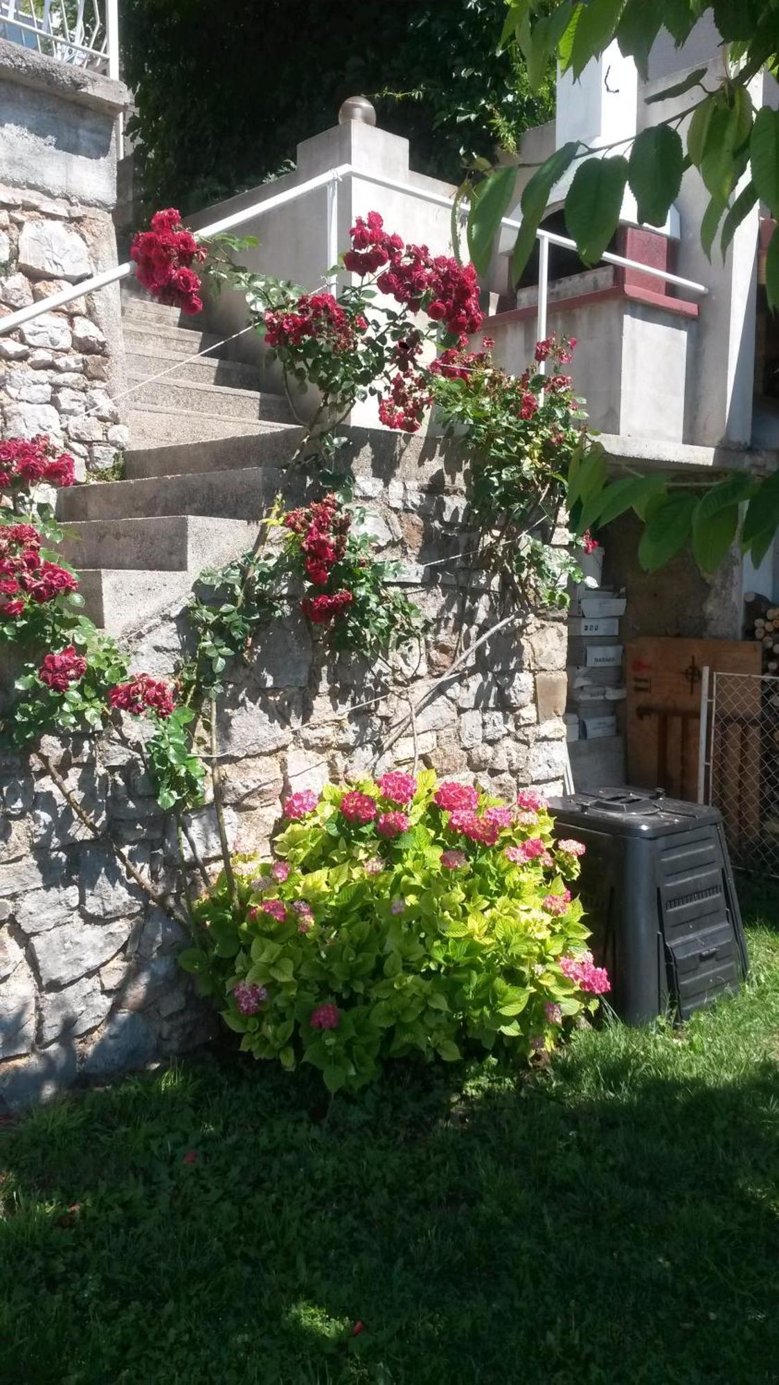 Apartmani Silvana&Vera Senj  Zewnętrze zdjęcie